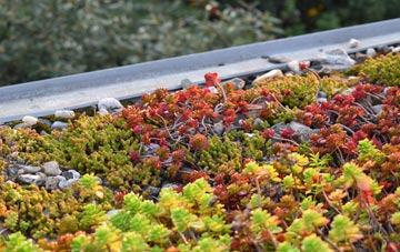 the cost of Ansford green roof installation