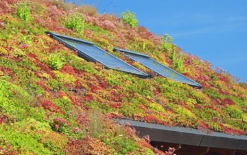 Ansford living roof systems