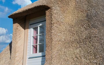 Ansford thatch roof disadvantages